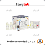 Echinococcus IgG ELISA KIT