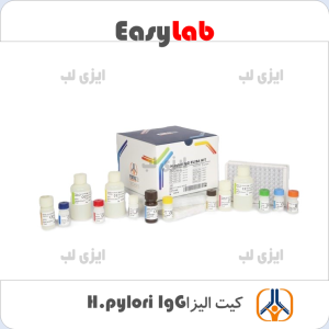 h.pylori IgG ELISA KIT