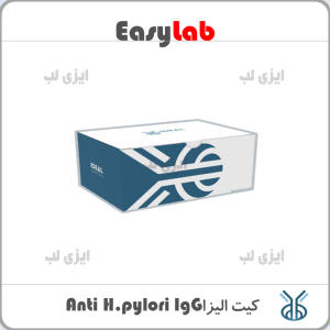 H.pylori IgG Elisa Kit