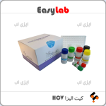 HCV Elisa Kit