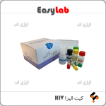 کیت HIV آریا مبنا تشخیص