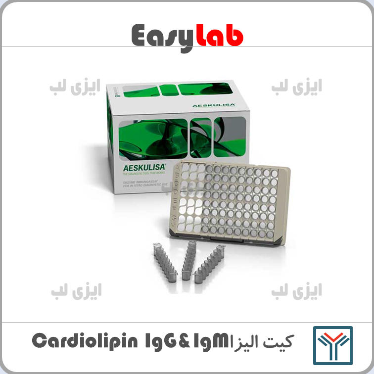 Cardiolipin IgG&IgM Elisa Kit - Saman Tajhiz Nor