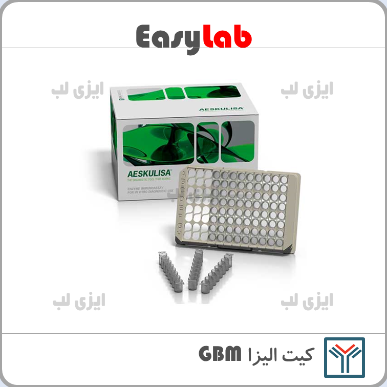 GBM Elisa Kit - Saman Tajhiz Nor