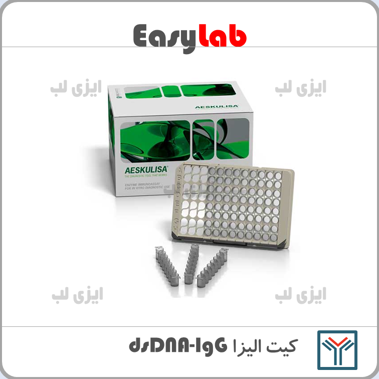 dsDNA-IgG Elisa Kit - Saman Tajhiz Nor