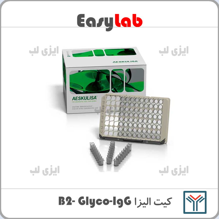 β2 -Glyco - IgG Elisa Kit - Saman Tajhiz Nor