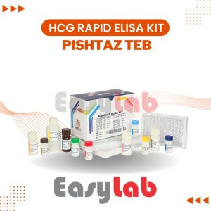 کیت HCG rapid پیشتاز طب