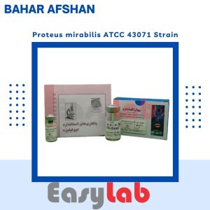 سوش استاندارد پروتئوس میرابیلیس ATCC 43071 - بهارافشان