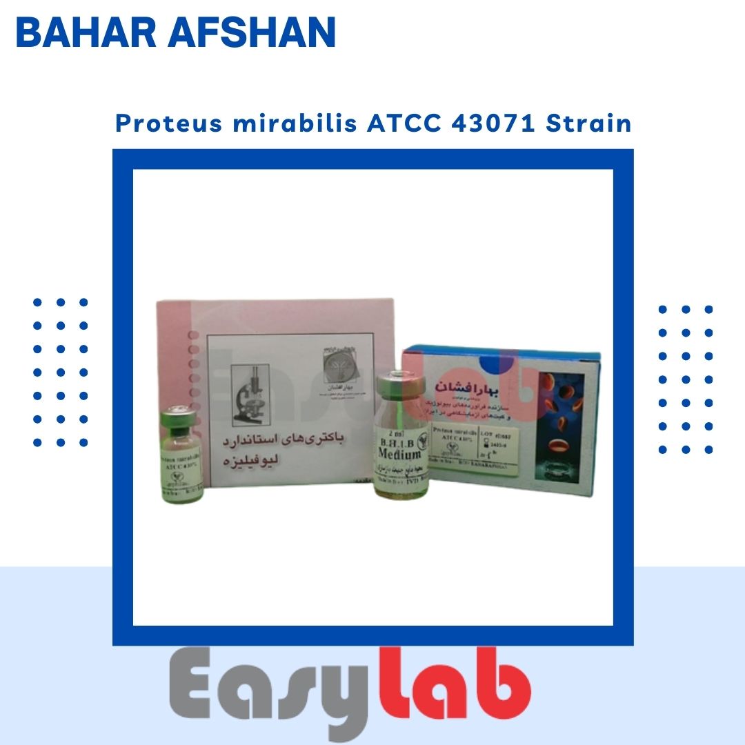 سوش استاندارد پروتئوس میرابیلیس ATCC 43071 - بهارافشان