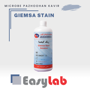 رنگ گیمسا میکروب پژوهان کویر